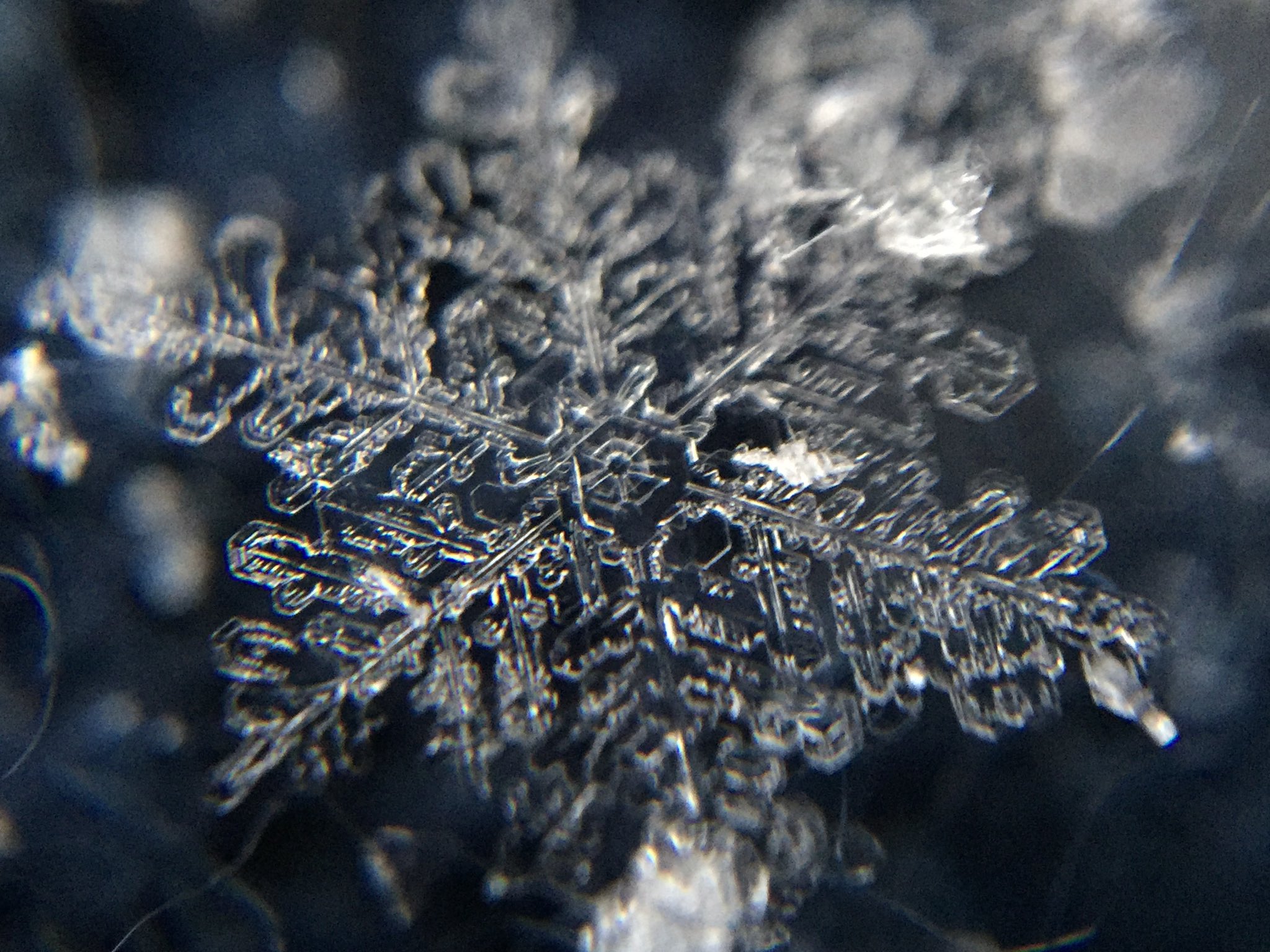 荒木健太郎 首都圏のみなさま 雪が降ったら雪結晶観測にどうかご協力ください スマホ で最大ズームで接写して撮れます タグ付で撮影時刻 場所を書いてご投稿ください 雪結晶画像が首都圏の降雪研究に必要です どうぞよろしくお願いします 気象研究所