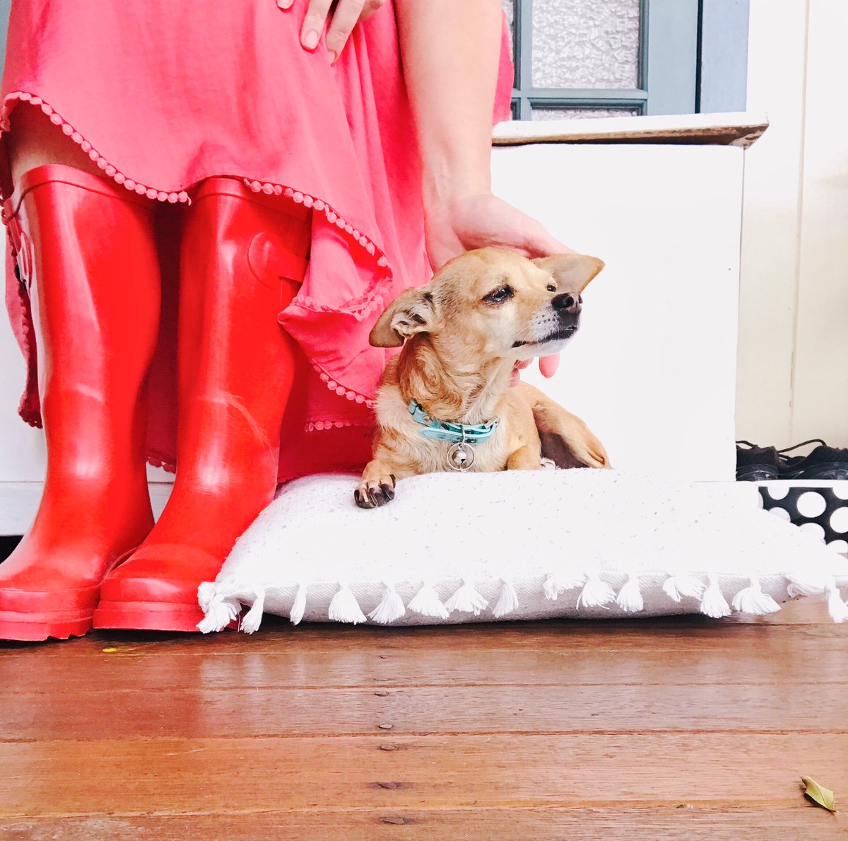 Ahhh! A Lifetime of Impossible Days is up for vote in <a href="/booktopia/">Tell Me What To Read</a> new book award! Please vote!
booktopia.com.au/blog/2020/01/1…