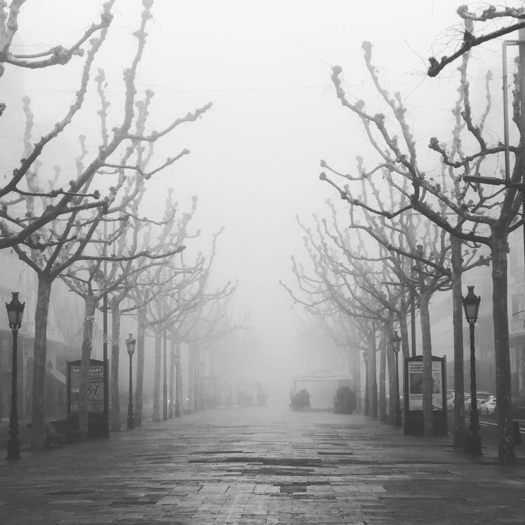 AnnaCos74's tweet photo. Gener a la #rambladeferran #boira #lleida https://t.co/sAnvaH2k1N