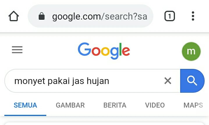 Featured image of post Monyet Pake Jas Ujan Rasanya petugas harus bisa menindak tegas para pengendara yang menggunakan jas hujan ponco