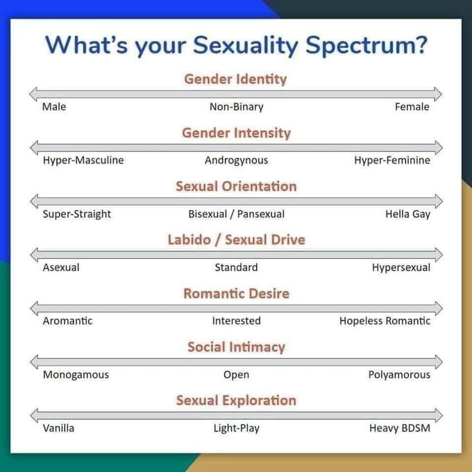 Gender identity (male non binary female. Gender intensity hyper masculine androgynous hyperfemale. Sexual orientation super straight bi/pansexual hella gay. Libido sexual drive asexual standard hypersexual . Romantic desire aromantic interested hopless romantic.  Social intimacy