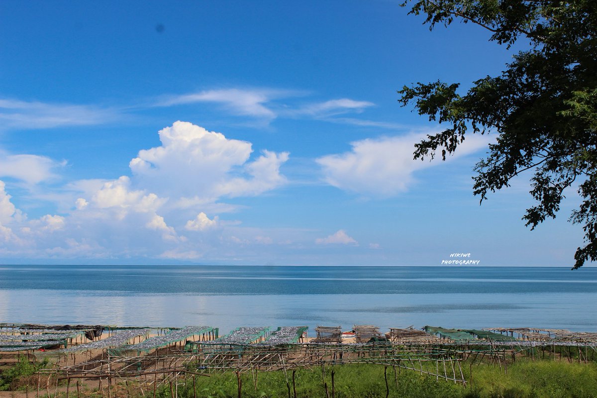 nikiwemtema's tweet photo. Feelin' blue.
#naturelover #naturebackground #nature #naturephotography #lakemalawi #landscapephotography #lake #ilovemalawi #ilovenature #nikiwephotography #destinationmalawi #travelmalawi #nyasaadventures https://t.co/J3Y9nBs3PI
