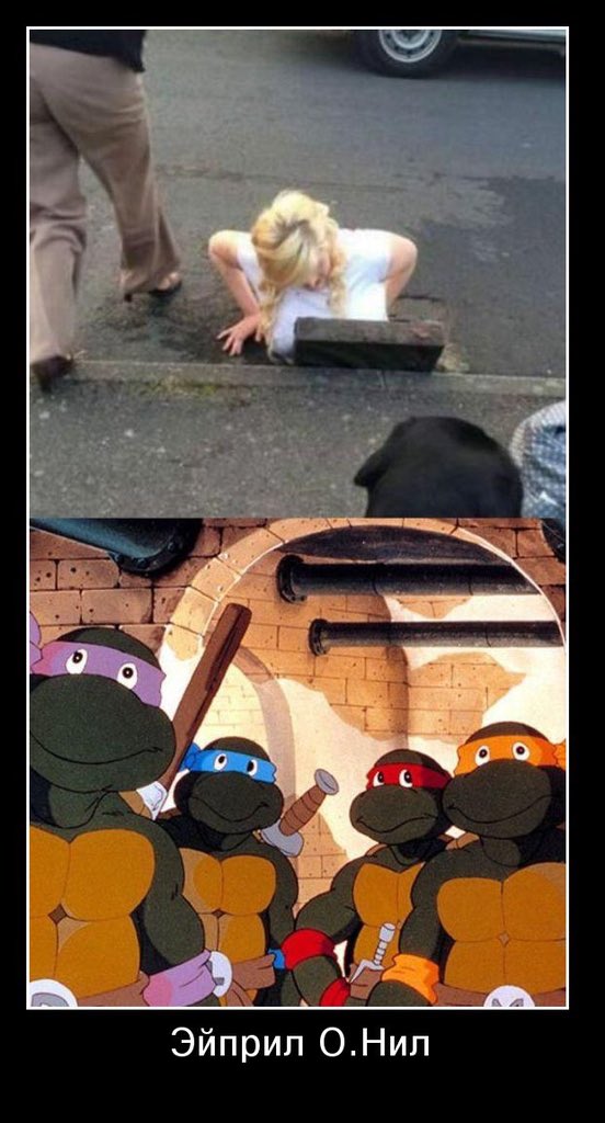 EOeVk1mWkAUpBoe?format=jpg&name=medium