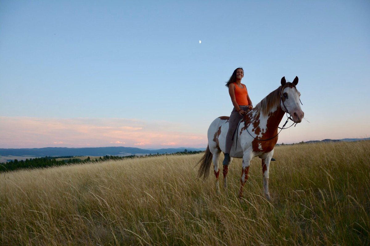 ¿Sabrías decir dónde sacó nuestra estudiante Valentina esta foto? ¡En Canadá! Durante su tiempo en el país, se alojó con una familia anfitriona y pudo pasar tiempo con sus caballos... ¡parece una experiencia realmente única!