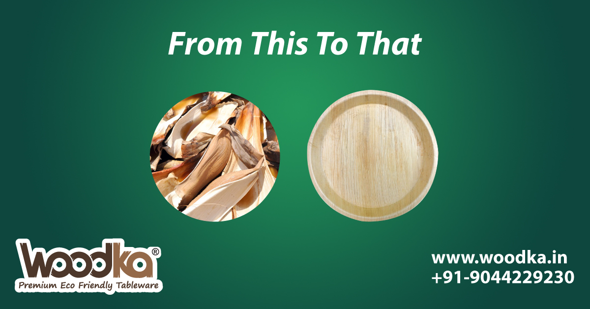 WoodkaTableware's tweet photo. From areca leaf to a WoodKa plate, our chemical free processes ensures that every WoodKa plate is 100% Safe, Hygienic &amp; Sturdy to deliver an hassle free experience for serving your delicious food. 
#DisposablePlates #EcoFriendlyTableWare  #WoodKa #saynotoplastic #ecofriendly https://t.co/b0rkaZyuRc