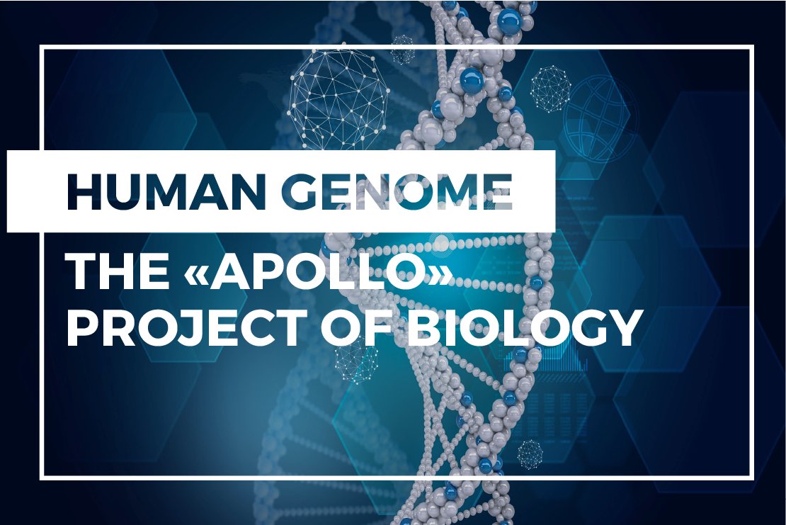 🙌 Today, we explain to you how the human genome was sequenced! 🙌

Click here to learn more about the Human Genome Project ⬇️
ow.ly/y4nO50xDfm4

#RandD #science #research #startup #platform #sequencing #ADN #genome