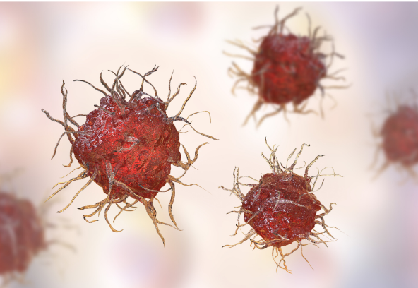 avanticell's tweet photo. Take the hassle out of your immune cell isolations – and let AvantiCell do it for you. Our #DendriticCells are prepared to such a high quality and cryopreserved in an immature state, we’re sure they’ll add value to your research.
Contact sales@avanticell.com for batch info. https://t.co/1dQOp7OKES