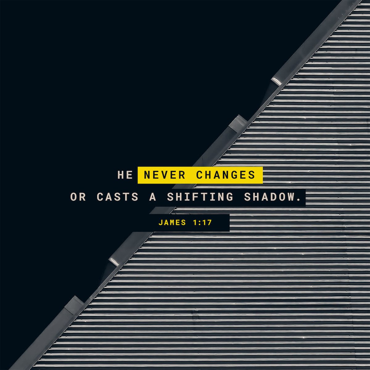 Alba Liz Velazquez tweet media