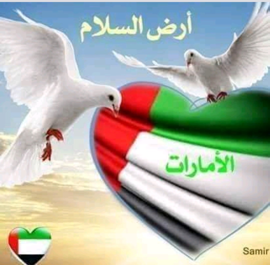 الهوية الوطنية روح تسري فى جسد الامارات (@mohamed64rano) on Twitter photo 