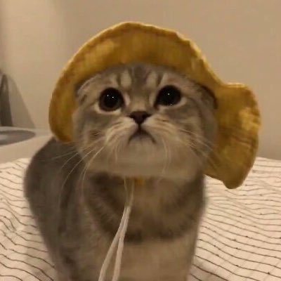 มินามินู 🛼🩰🧴 tweet media