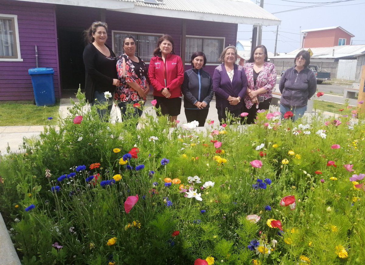Con mujeres ganadoras de proyectos zona rezago de GORE en convenio con SernamEg la SEREMI <a href="/suazo_sara/">Sara Suazo Suazo</a> se reúne en su sede comunitaria en Puerto Saavedra para dialogar sobre sus planes con este beneficio. #MujeresQueInspiran