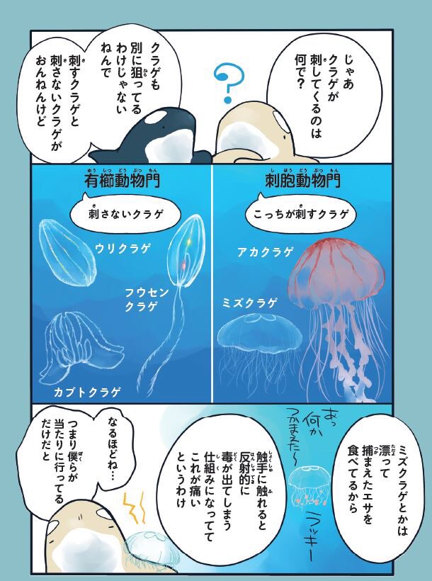 クラゲはマンボウと同じ?説(1/2)
(水族館が好きすぎて!より抜粋) 