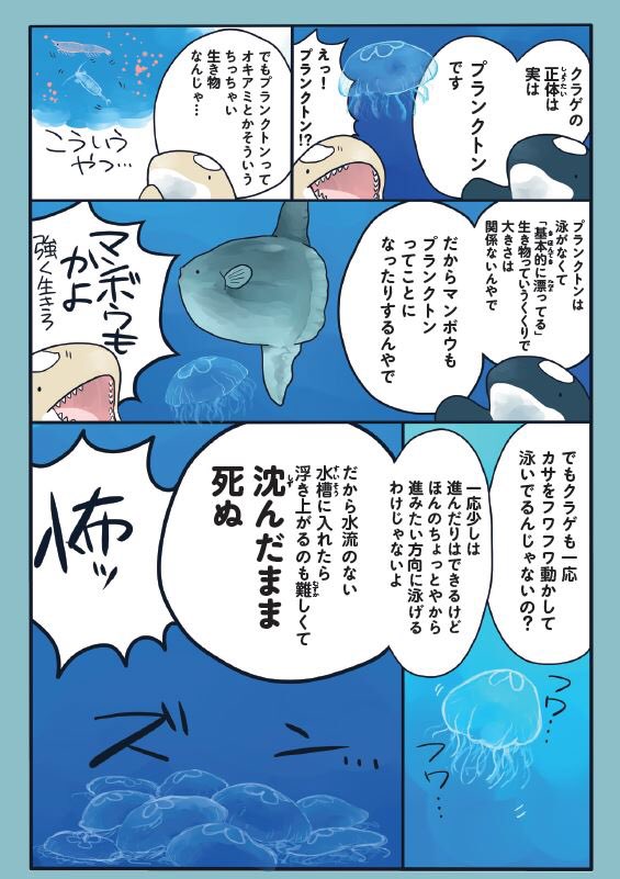 クラゲはマンボウと同じ?説(1/2)
(水族館が好きすぎて!より抜粋) 