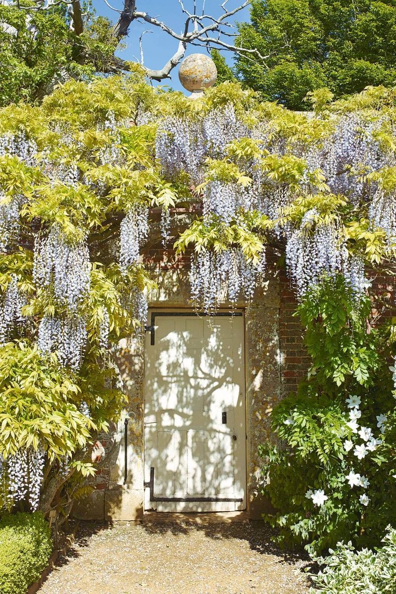 _houseandgarden's tweet photo. Utterly lovely English country gardens: https://t.co/GxKVqpcyvz https://t.co/ovfMuExNCv