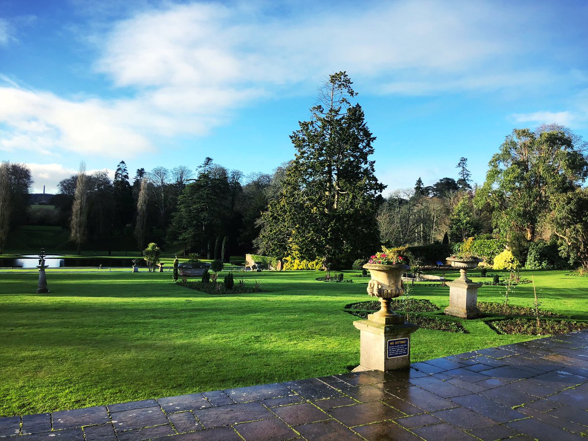 The suns out, so come enjoy a walk around the gardens followed by lunch or coffee and cake. To help with #Veganuary we have some #vegan lunch options, coconut and lime cake and vegan apple pie. As well as vegan syrups and milk options for your coffee or hot chocolate.