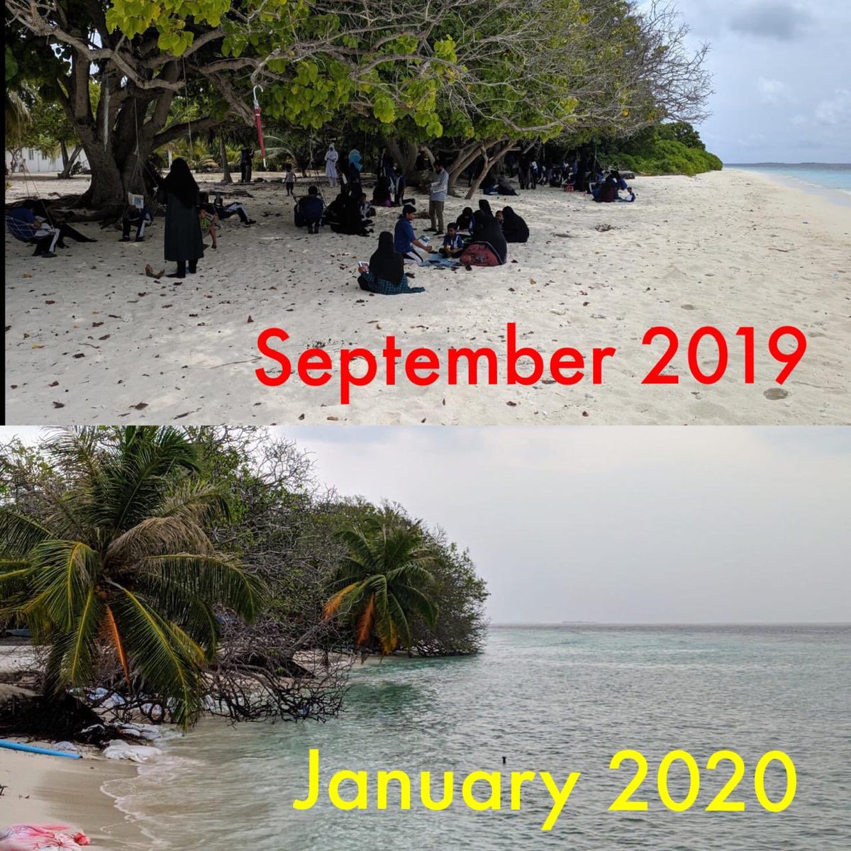 SaveFainu's tweet photo. “ރަށެއް އެއްކޮށް ހަލާކުވީމާ ކުރަންޖެހޭ ހޭދަ މާބޮޑުވާނެ. ފައިނު ގިރުން ހިމާޔަތްކުރުން މިއަހަރު ބަޖެޓުގައި ނުހިމެނުނަސް ކާރިސާއެއްގެ ދަރަޖައަށް މިކަން ނުރައްކާވީމާ އެހެން އިންތިޒާމެއްގެ ތެރެއިން ނަމަވެސް މިކަމަށް ހައްލެއް ހޯދައިދޭން ޖެހޭނެ. އެއީ ދައުލަތުގެ ޒިންމާއެއް.”

#SaveFainu https://t.co/paqN4NAAzb