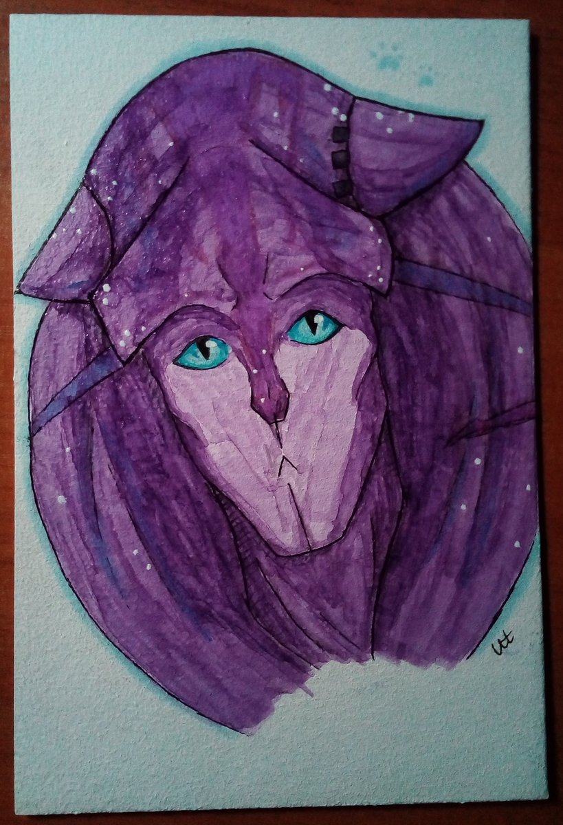 Spacekitty Twitter Search