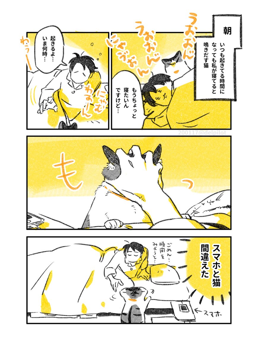 猫と暮らすと健康的な生活になります 