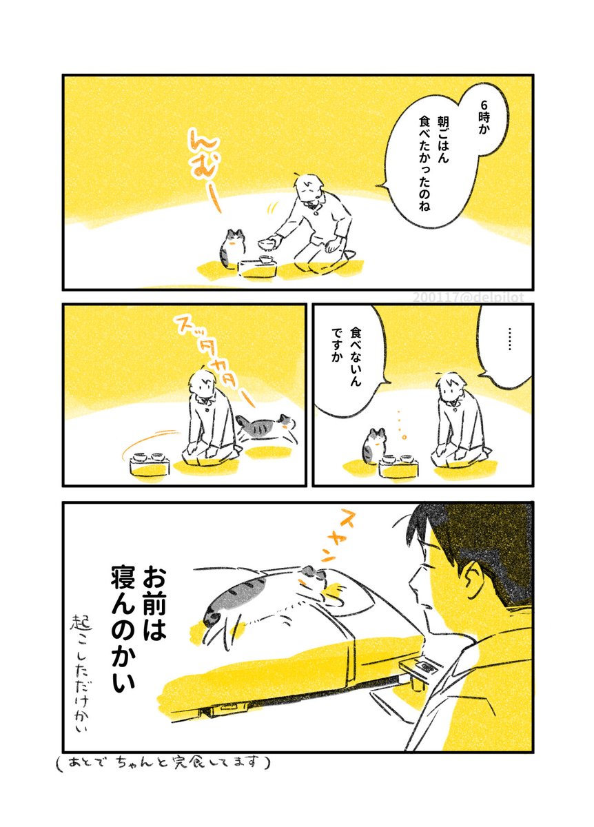 猫と暮らすと健康的な生活になります 