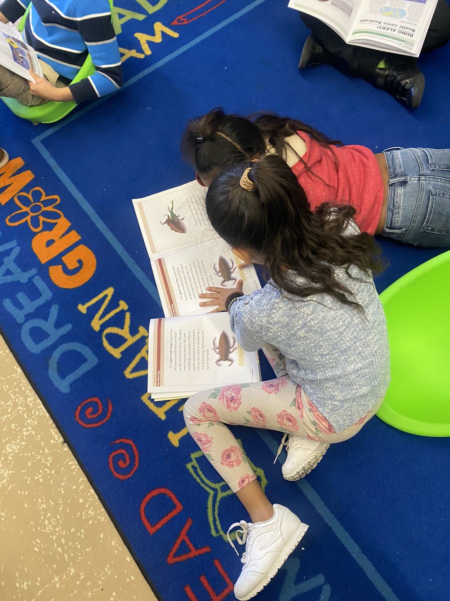melissa iamarone (@iamaronemelissa) on Twitter photo Love seeing this! My students are so engaged in their bug research!! Sharing ideas and asking great questions! 🐞🐜 <a href="/StringfellowSam/">Samantha Stringfellow</a> <a href="/CMonterecy/">Courtney Monterecy</a> <a href="/MFogartyES/">Mary E. Fogarty Elementary</a> <a href="/AmericanReading/">American Reading</a> #readersarethinkers Love seeing this! My students are so engaged in their bug research!! Sharing ideas and asking great questions! 🐞🐜 <a href="/StringfellowSam/">Samantha Stringfellow</a> <a href="/CMonterecy/">Courtney Monterecy</a> <a href="/MFogartyES/">Mary E. Fogarty Elementary</a> <a href="/AmericanReading/">American Reading</a> #readersarethinkers