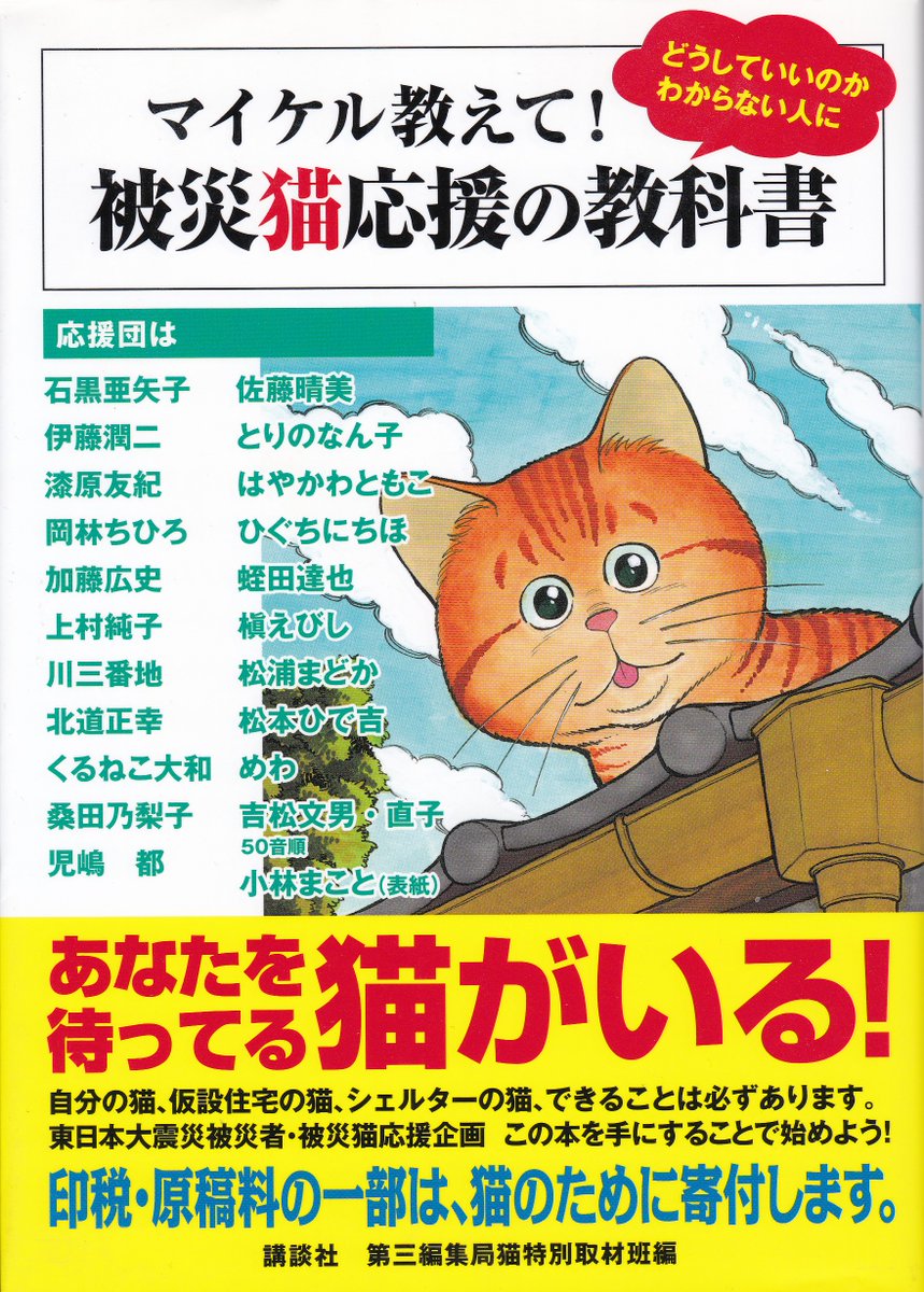 今日で「阪神大震災」から25年

「マイケル教えて!被災猫応援の教科書」
(2011年11月発行)

東日本大震災での、多くの猫&飼い主の不幸を受けて内容が整えられたものの
もともとは、阪神大震災での、佐藤晴美先生の体験をベースに「愛猫と震災をどう生き抜くか」をテーマにスタートした企画本 