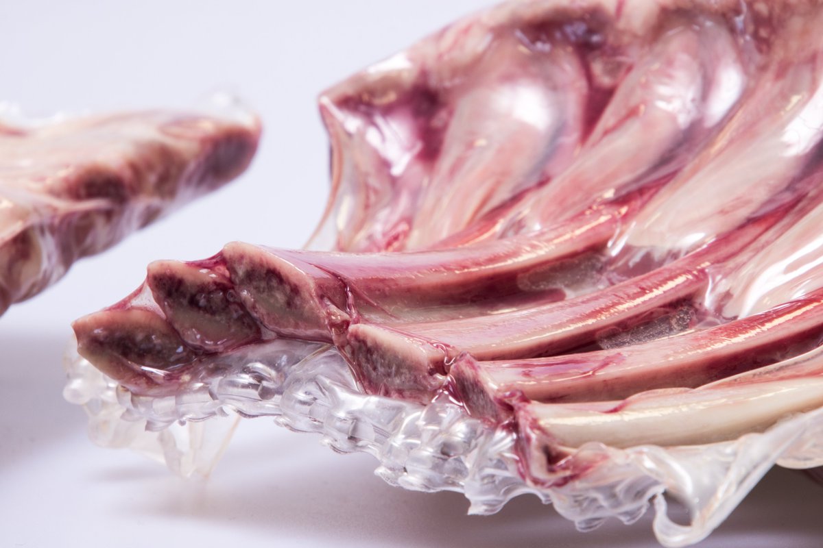 PVDC-barrier is vital for extending shelf life of fresh meats. Fact or perception?
This article summarises most recent scientific research on the topic to help you make fact-based sustainability choices: bit.ly/372nUlX 
#FactsNotPerceptions #TransparencyForPlastics