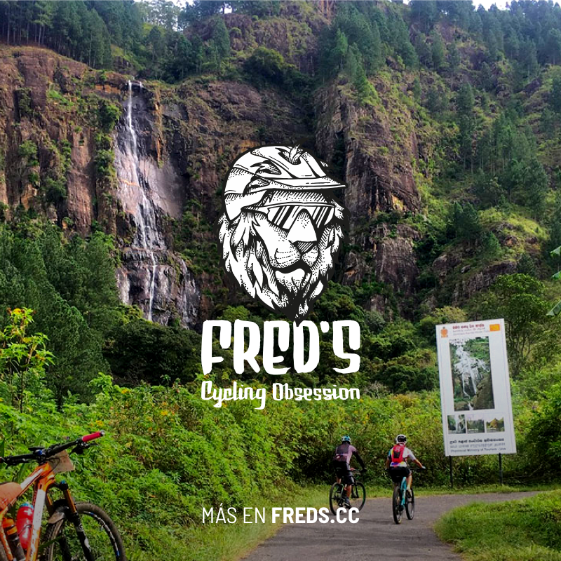 Rumble in the Jungle (SriLanka) vuelve éste año para un total de 20 participantes. Nosotros corrimos esa carrera en el 17, y 2019 se canceló por la muerte de un participante en 2018. Aquí puedes leer nuestra experiencia: freds.cc/rumble-in-the-…
 #mountainbike #bike #cycling