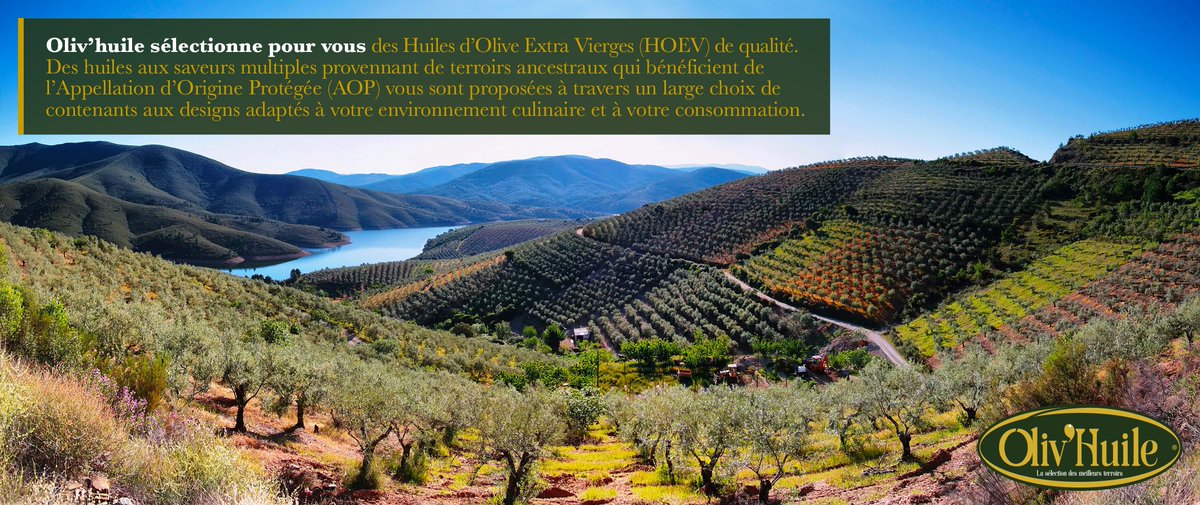 Olivhuile_33's tweet photo. Oliv’huile sélectionne pour vous des Huiles d'Olive Extra Vierge de grande qualité aux saveurs multiples provenant de terroirs ancestraux...

#HOEV #oliveoil #EVOO #Espagne #Portugal #terroir2018 https://t.co/YhsnouCEpi