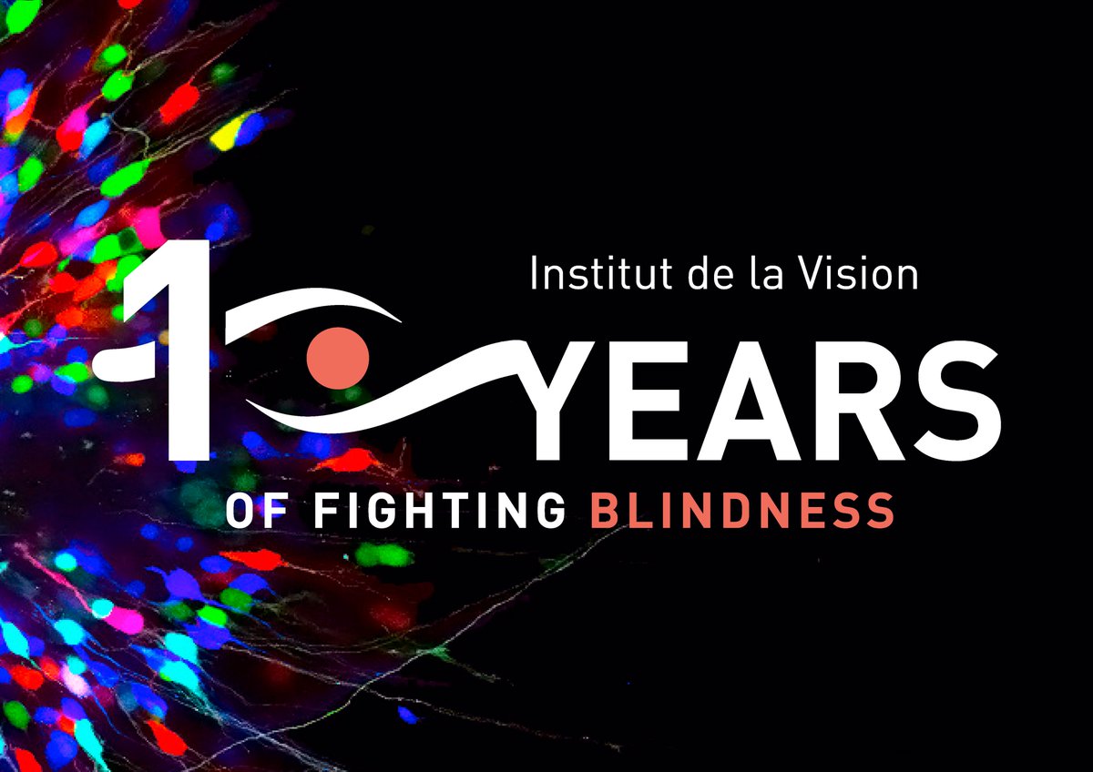 Voici le lien de notre dernière newsletter d'où vous pouvez la consulter ou la télécharger directement d'ici 
bit.ly/3af9Lnv
Avec les 10 avancées les plus importantes, des 10 dernières années a l'Institut de la Vision.
#impactinvesting #Donations  #philanthropy