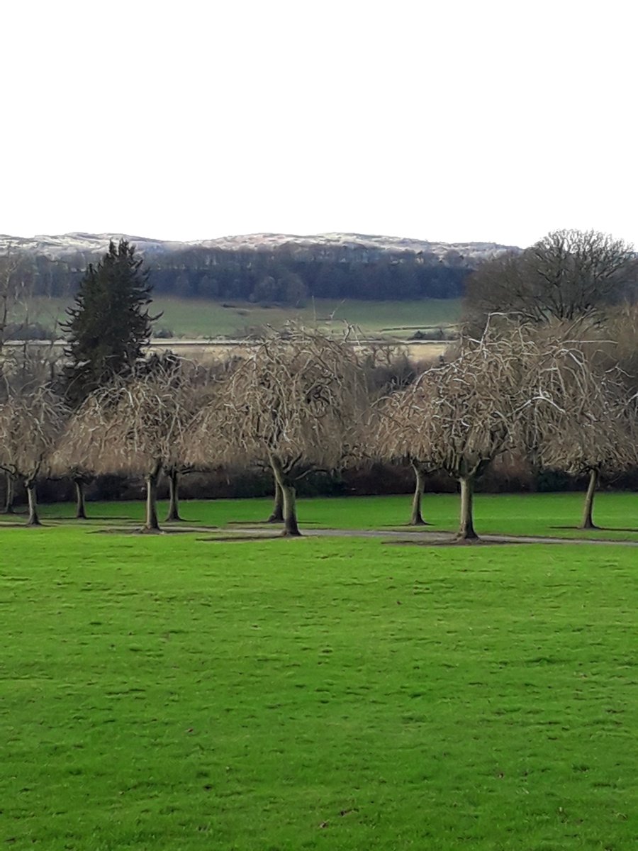 Crichton_Royal's tweet image. The #Crichton is, and was, as much about experiencing landscapes -- natural and curated -- as about confinement. Looking outwards to Criffel, over to the old glasshouses, and along the avenues of trees: