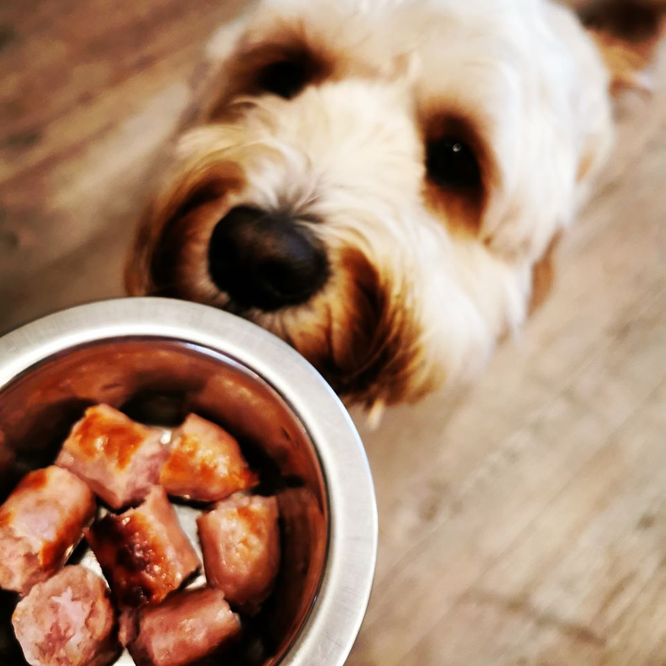 Walking with the dog in #Lytham this weekend, there's a cute competition <a href="/Bijouoflytham/">Bijou of Lytham</a> where your pup can win some <a href="/BarkingBakery_/">The Barking Bakery</a> goodies 
Pop in tiny.cc/ng0tiz
#dogfriendly #cafeculture