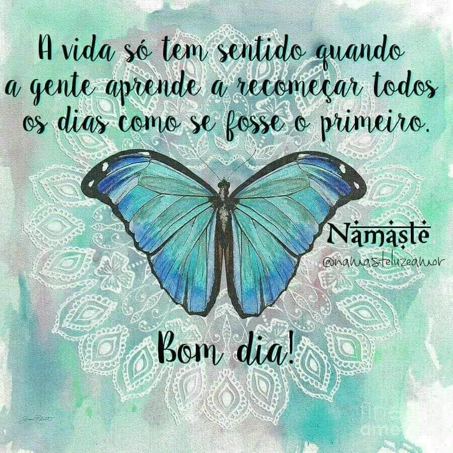 Fabio Antonio Pereir tweet media