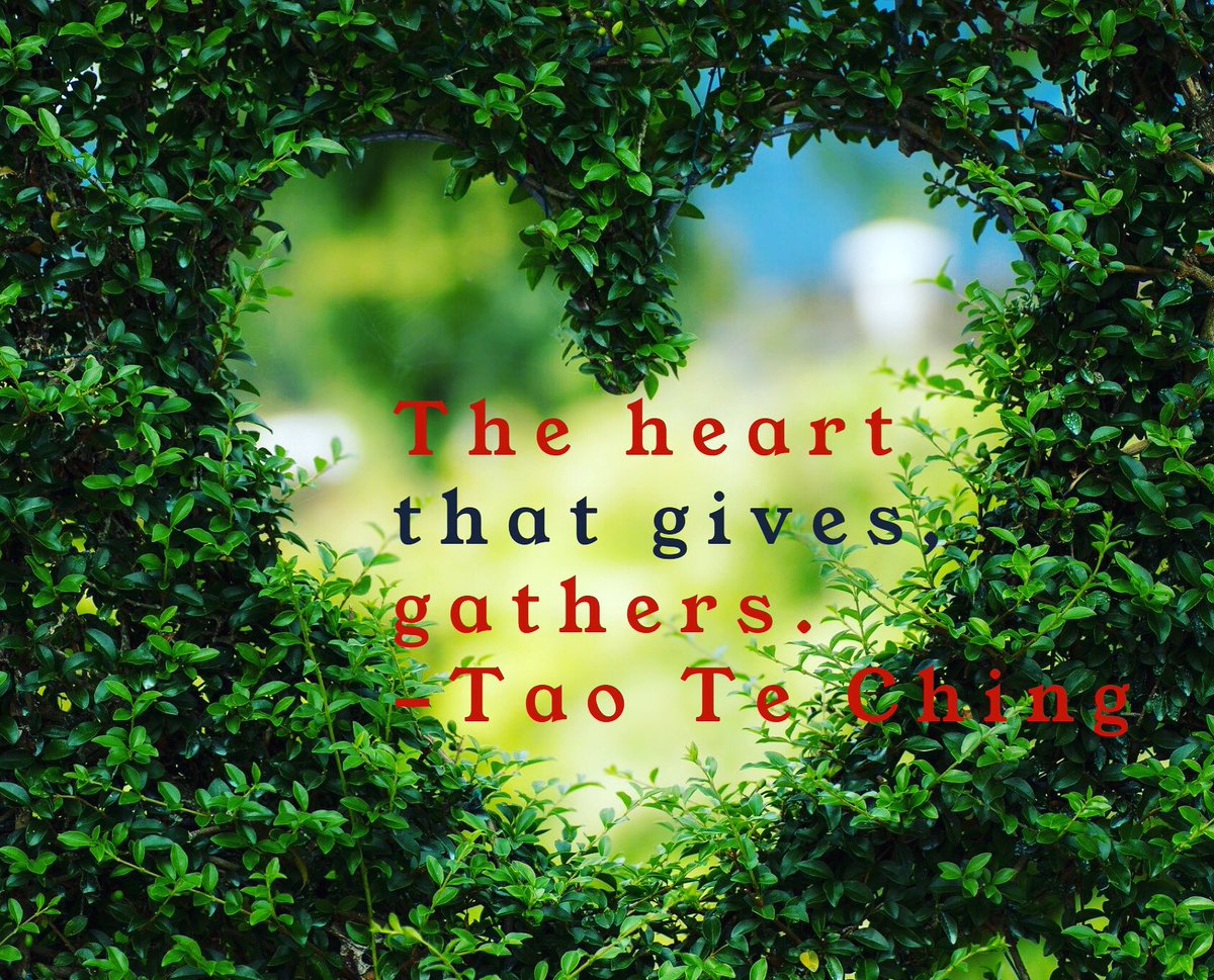 iamstacybrown_'s tweet photo. Most times you get back more than you give. #givingback #giving  #helpingothers https://t.co/AKkwRGTseP