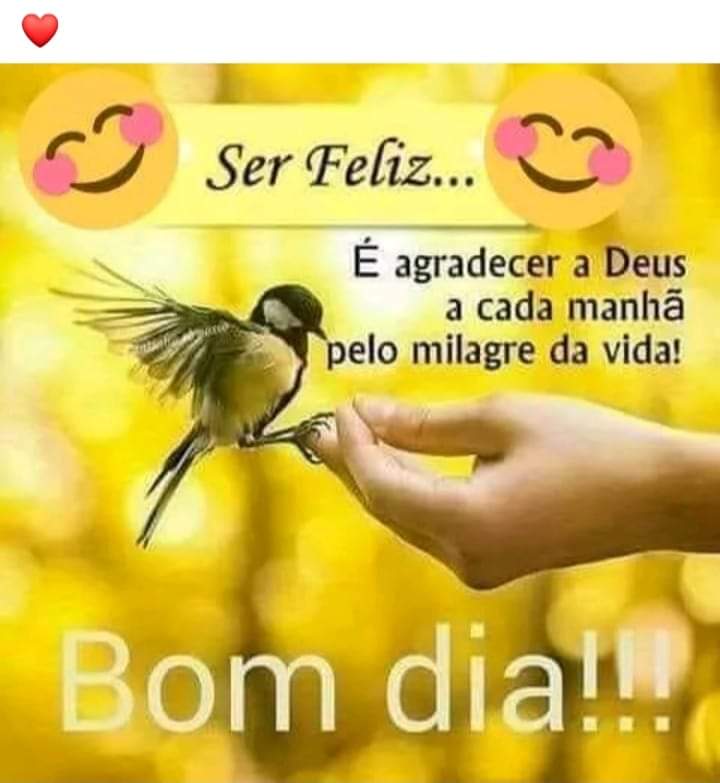 Fabio Antonio Pereir tweet media