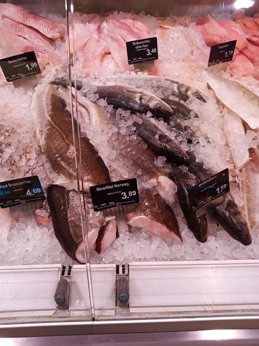 Sebasti48529536's tweet photo. Jetzt fangfrisch direkt aus Norwegen🇧🇻, Skrei 🐟 Filet 
Das Fleisch 🥩 des Skreis ist delikat, festfleischig und doch zart, mager und aromatisch  – ein ganz besonderer saisonaler Genuss. 

#edeka #lebensmittel #fisch #skrei https://t.co/HComfMchTO