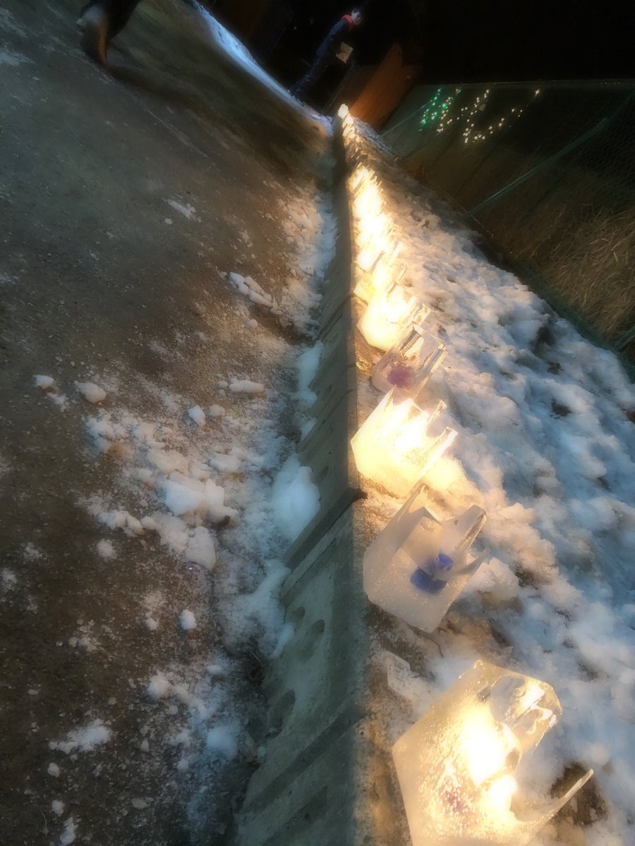 kabora_science's tweet photo. 今週はわかくさ保育園でろうそく作りと点灯式をしてきました！
15日に自分たちでろうそくを作り、それを今日氷の器の中に入れ火をつけました！
とても綺麗でした！
点灯式のあとはみんなでマシュマロを焼いて食べました！
トッピングも色々とあったのですが、1番人気だったのはポテトチップスでした！ https://t.co/hodrDID0iD