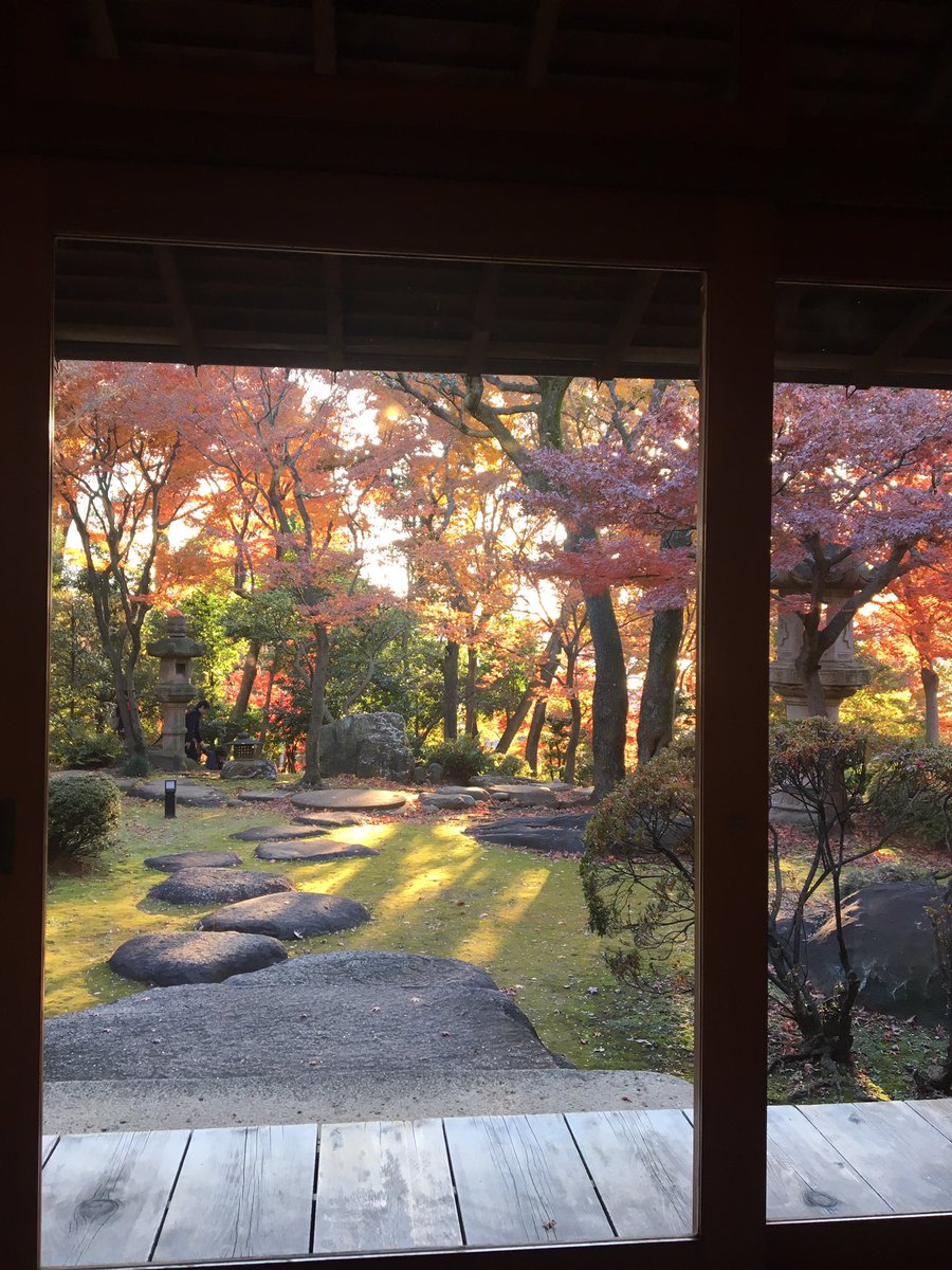 都内癒しスポット