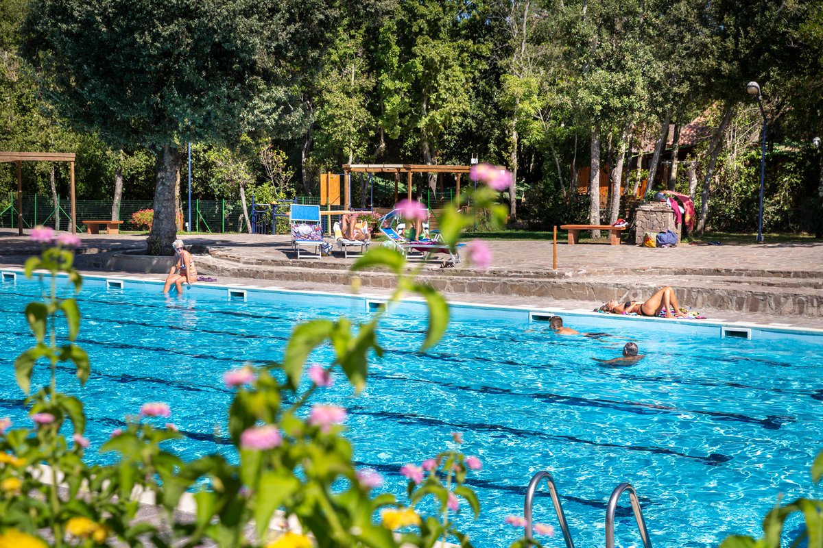 GustocampNL's tweet photo. Ben jij gek op natuur?! Onze camping 𝗠𝗼𝗻𝘁𝗲𝘀𝗰𝘂𝗱𝗮𝗶𝗼 is omgeven door 170.000 ha Mediterraan bos!💚 Daarnaast kun je genieten van de fijne zwembaden en leuke activiteiten!

Kom naar deze prachtige camping ≫ https://t.co/O426OjUoK8 https://t.co/PhEWKA9Nw9
