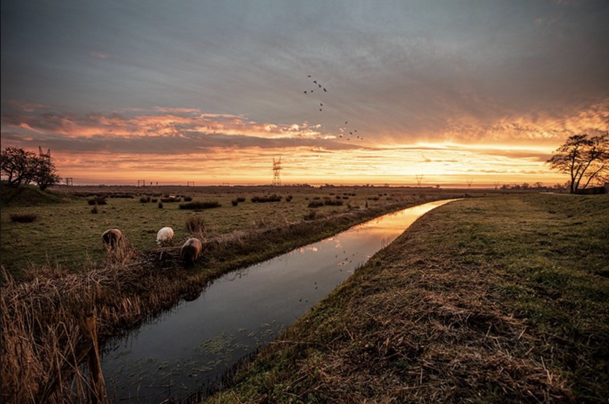Ga naar de voorstelling Schijtziek van Mouna Laroussi in <a href="/DeDillewijn/">Theater De Dillewijn</a>. Geniet van live muziek bij Jam aan de Vecht in Nederhorst den Berg of Meer fun aan het water jamsessions bij <a href="/Ottenhome/">Ottenhome Kortenhoef</a>. Dit en meer!

Alle tips: loosdrechtseplassen.nu/whats-on/
Fijn weekend, enjoy!