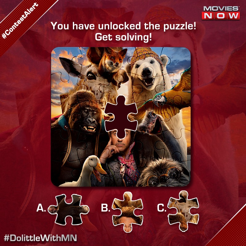moviesnowtv's tweet photo. #ContestAlert 
Puzzle puzzle, let the contest vibes sizzle! Which piece do you think fits best- A, B or C? Let us know your answers in the comments below. Hurry up and you can win free tickets! #DolittleWithMN https://t.co/402wLJGk02
