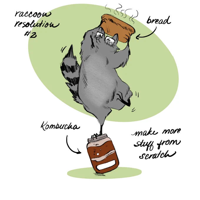 The year of diy disasters #raccoonresolutions 