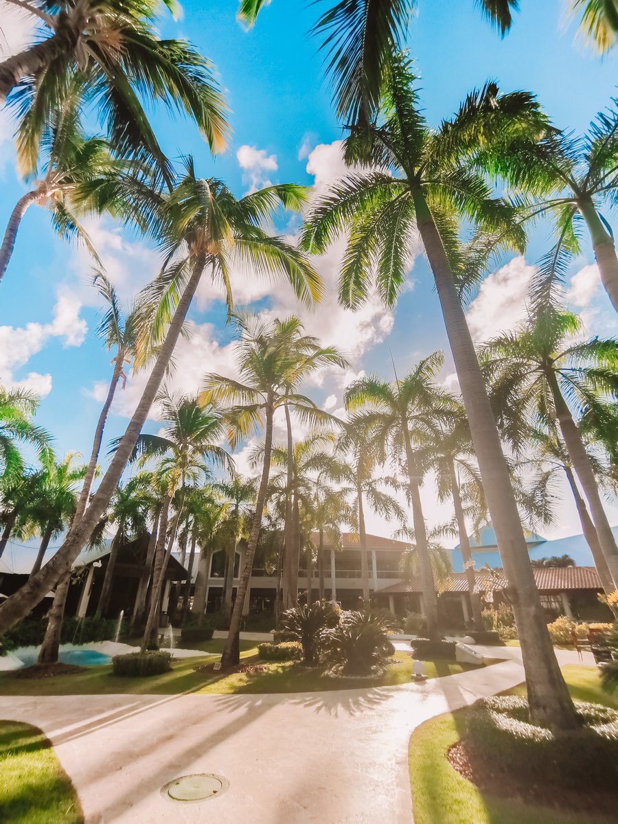 ¡Su opinión es muy importante para nosotros!
No se olvide de compartirnos su experiencia con nuestros lectores de #TripAdvisor: bit.ly/ReviewDreamsPB…
#DreamsPalmBeach
