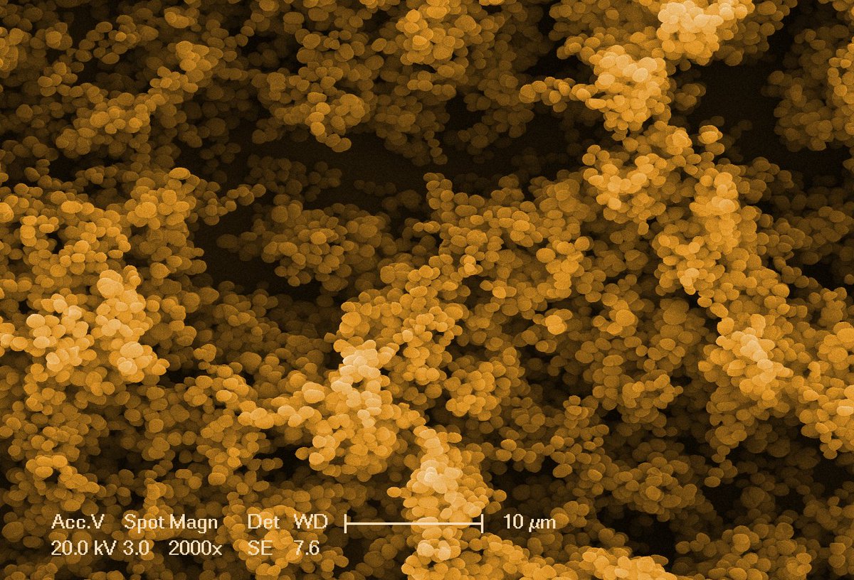 Contamination Club tweet media