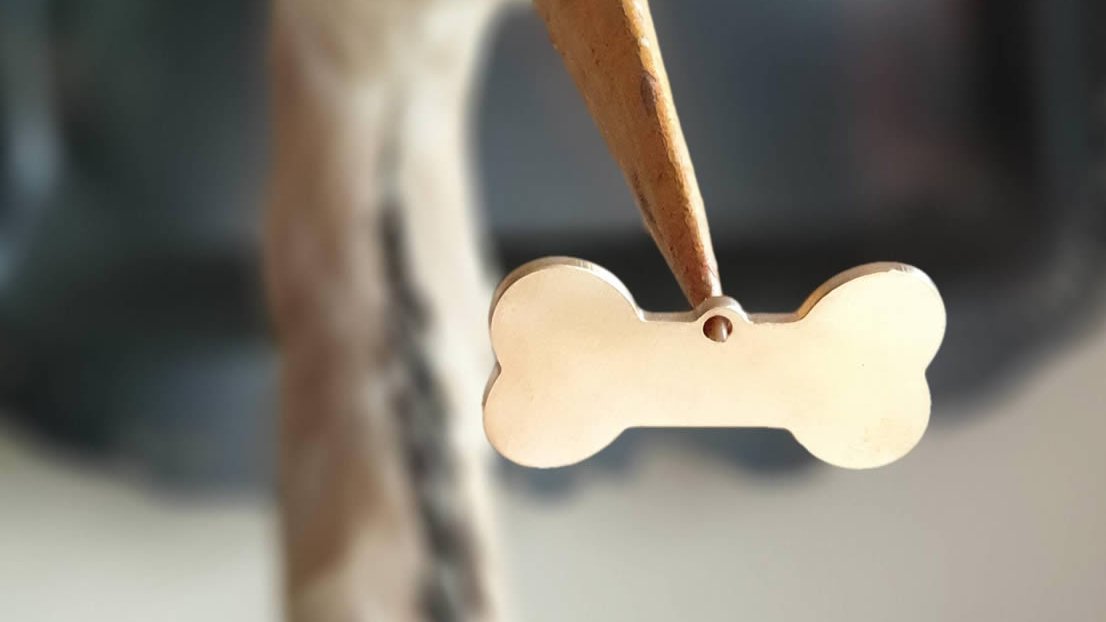 Ah hello, we've had trouble demonstrating the size of our bone-shaped ID tag for #dogs but we've finally cracked it. Here it is on a Heron's beak. Thanks to everyone: #StAlbans #DogsofTwittter #HelenTheHeron #TenYearTags