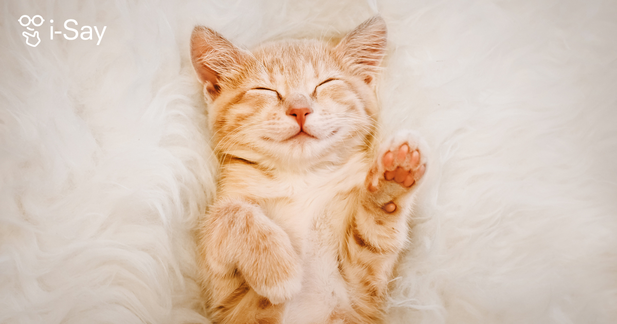Hi there! Happy weekend!