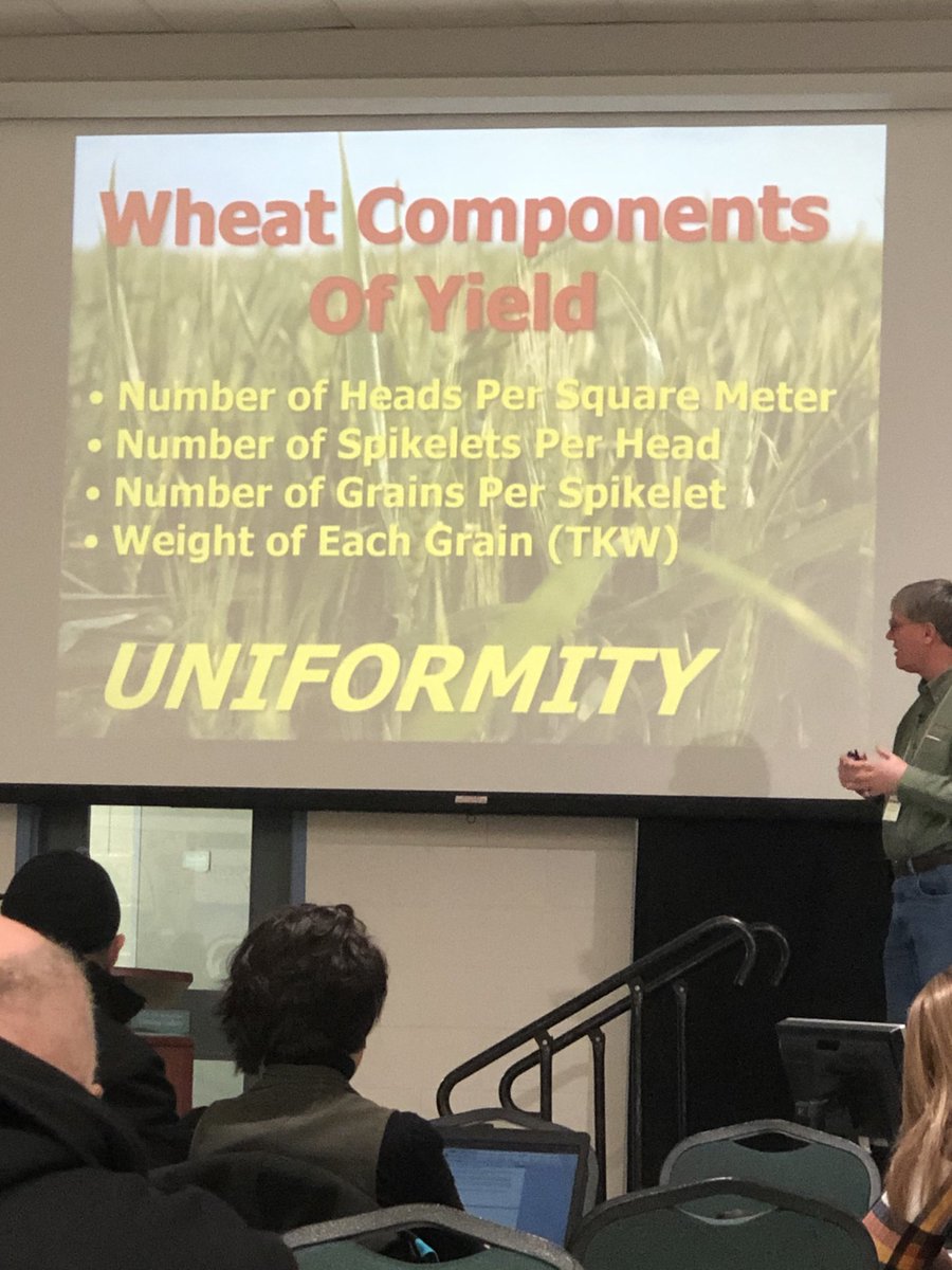 gkitching's tweet photo. Uniformity of stand key to success #CerealSmart https://t.co/FQJyeB4VQz