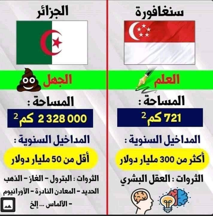 Salah Eddine tweet media