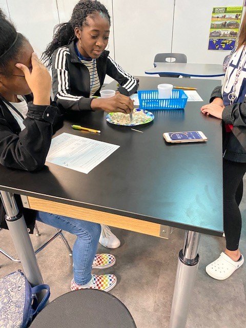 swanzyscience's tweet photo. Bird beak lab today! @LeoAdamsMS https://t.co/pvz7XyvG3a