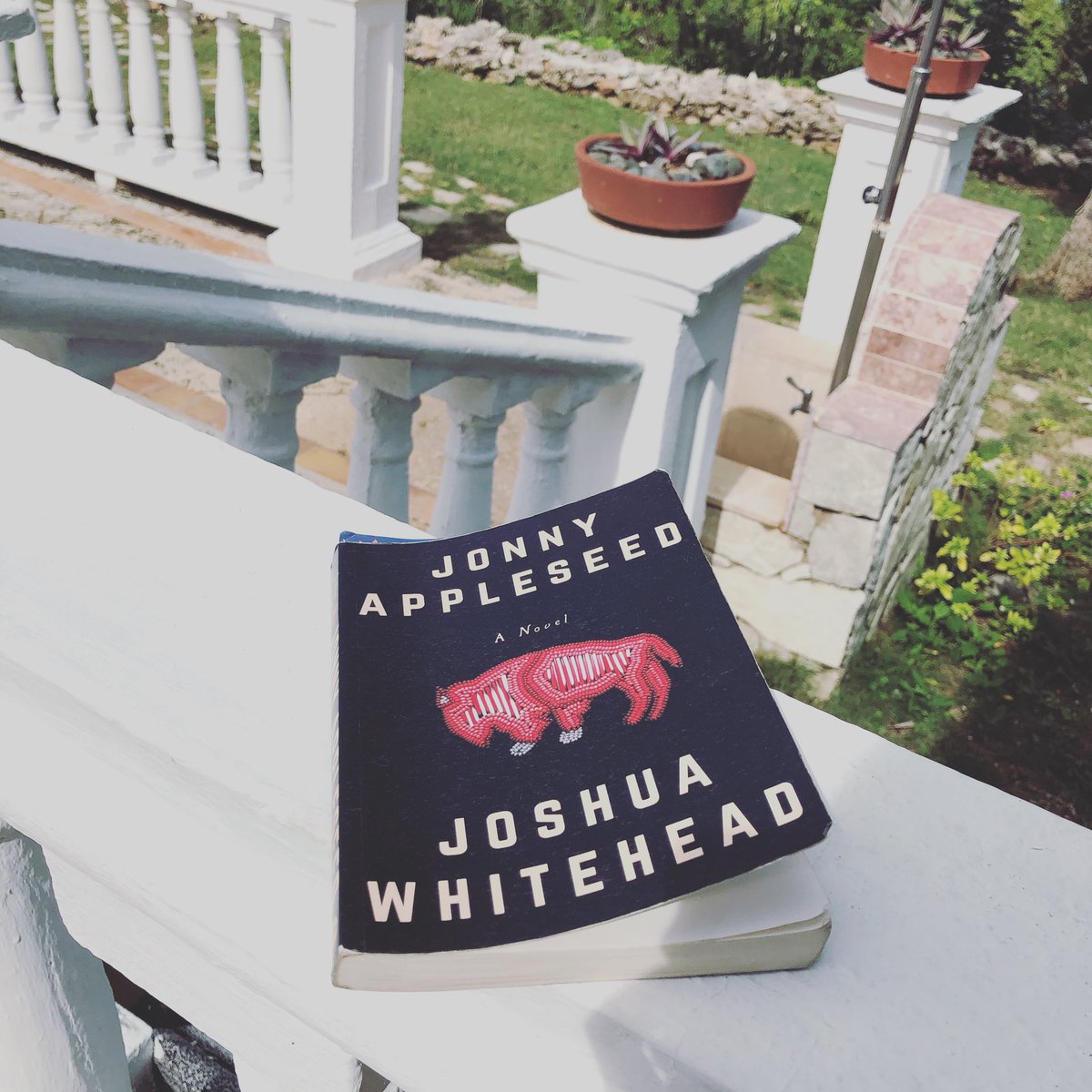 8/52Jonny Appleseed by Joshua Whitehead. “We’re all here telling our stories in NDN time. But the ironic thing I’ve learned about NDN time is that it’s an elixir of an excuse and a toxin of a measurement.It’ll kill you, you know, if you love it too dearly.” #52booksin52weeks