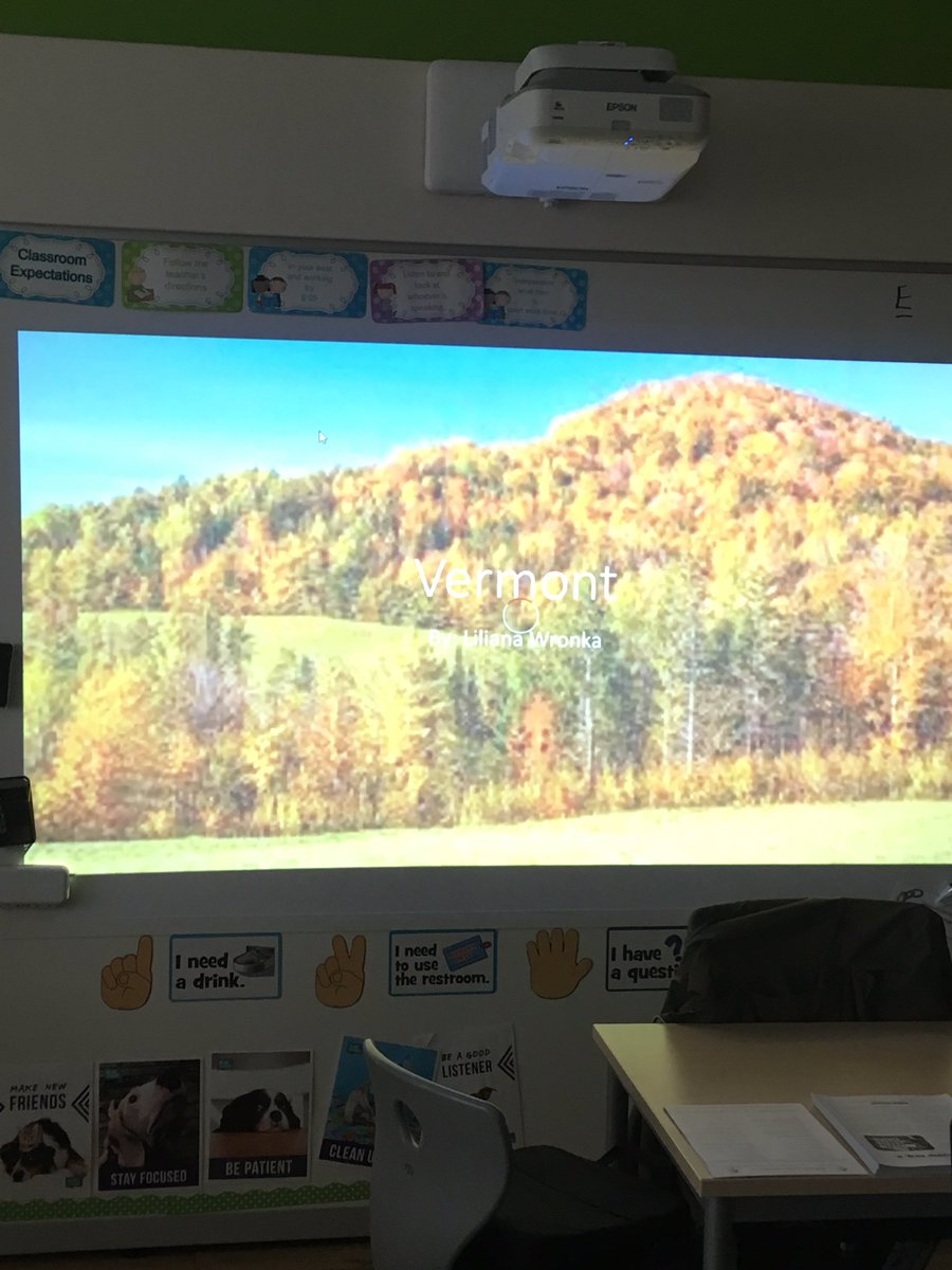 Lisa Egan tweet media